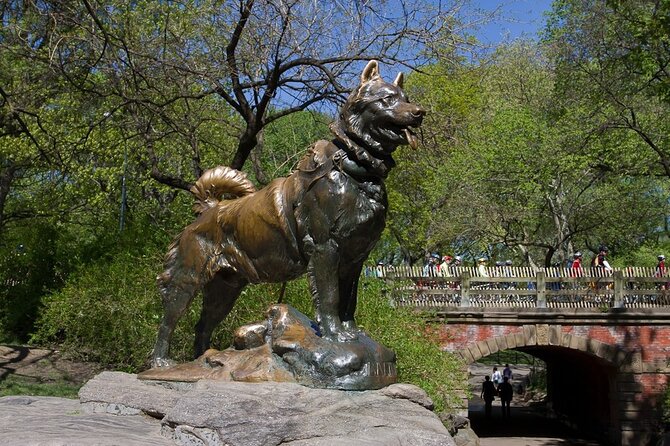 1 Hour Private Guided Tour - Bow Bridge and Cherry Hill bring the best photos