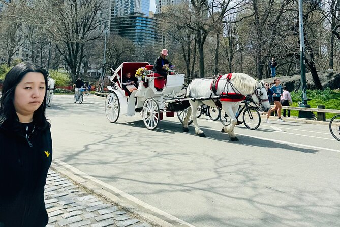 45 min Long VIP Central park carriage ride - The carousel, Balto statue, and the Mall