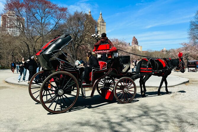 45 min Long VIP Central park carriage ride - Cherry Hill is the one real photo stop