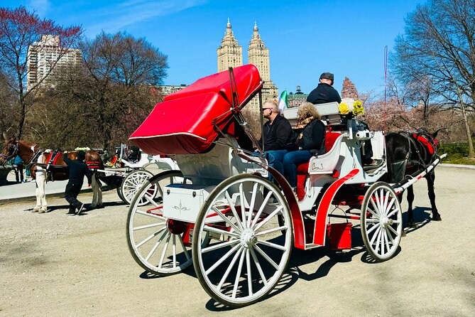 45 min Long VIP Central park carriage ride - How much narration should you expect?