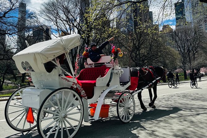 45 min Long VIP Central park carriage ride - Winter blankets and weather concerns