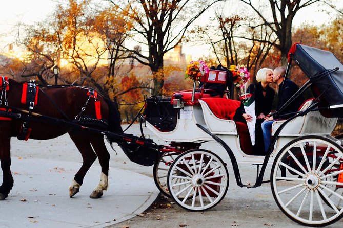 45 min Long VIP Central park carriage ride - Bethesda Terrace and the ice-skating rink