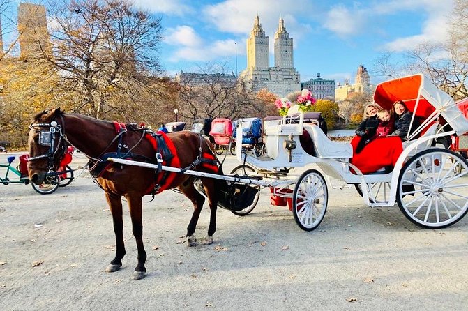 45 Minute VIP Central Park Carriage Ride - Starting at Central Park South and West Drive