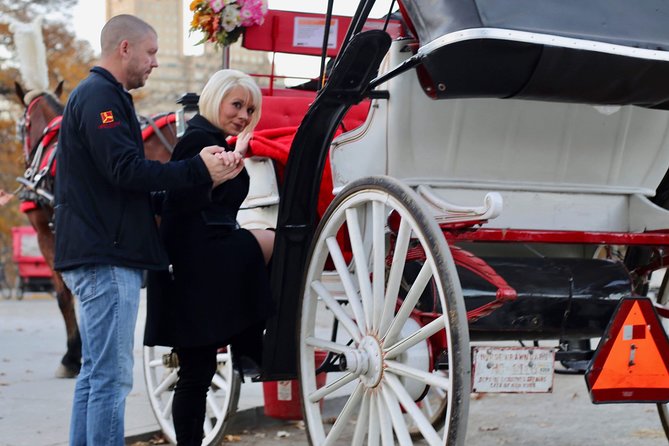 45 Minute VIP Central Park Carriage Ride - The Mall and the chess and checkers house