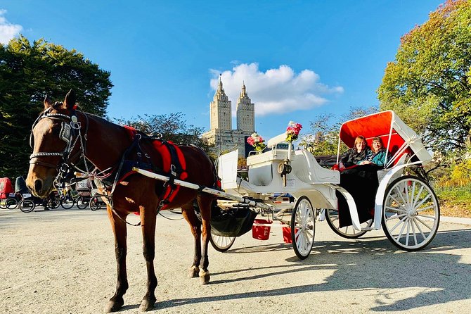 45 Minute VIP Central Park Carriage Ride - Bethesda Fountain and the Baltimore statue