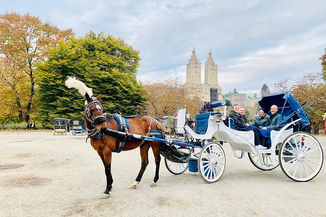 45 Minute VIP Central Park Carriage Ride - Cherry Hill Plaza and the quick photo stop