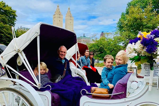 45 Minute VIP Central Park Carriage Ride - How the private format changes the experience