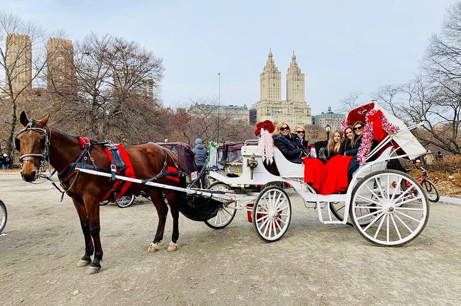 45 Minute VIP Central Park Carriage Ride - Ice skating rink and the first look at the park
