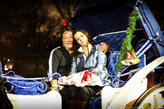 60 min surprise proposal carriage ride - The carriage, horse, and people running the plan