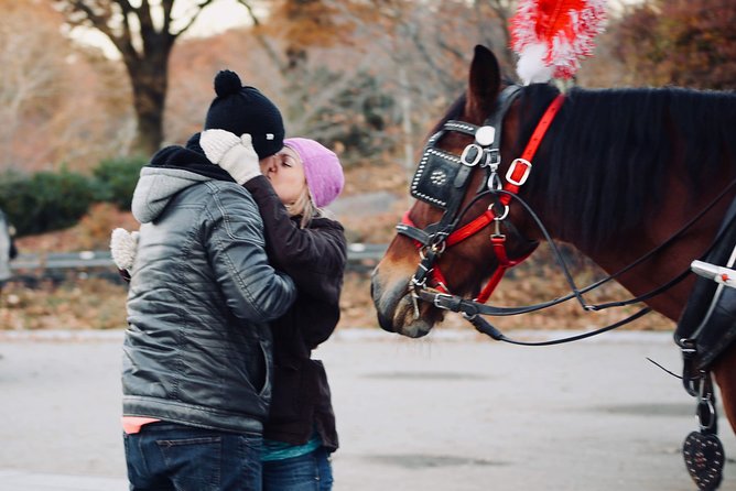 60 min surprise proposal carriage ride - Who should book this experience