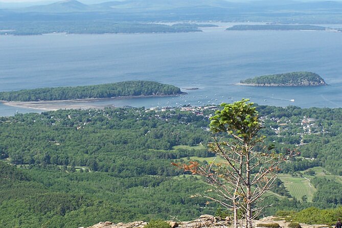 Acadia National Park & Boston 3-Day Tour from NYC | Kids 50% Off - Key points to know before you book