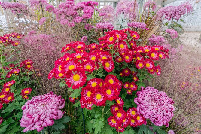All-Garden Pass for the New York Botanical Garden - Walking the outdoor gardens and collections