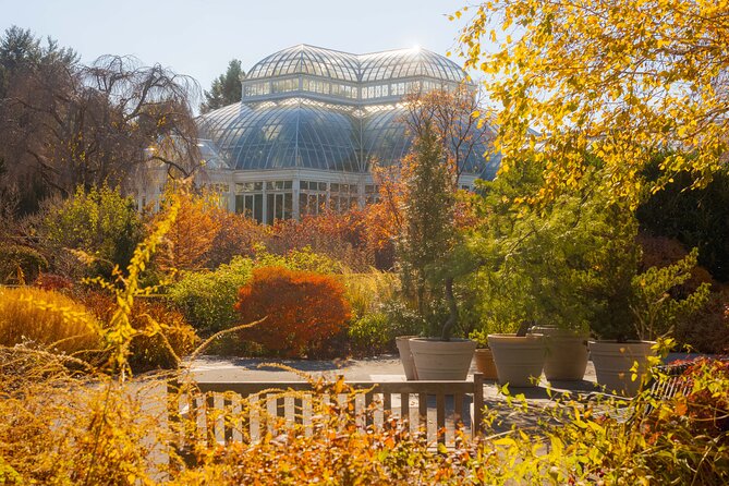 All-Garden Pass for the New York Botanical Garden - Finding quiet in the old-growth forest