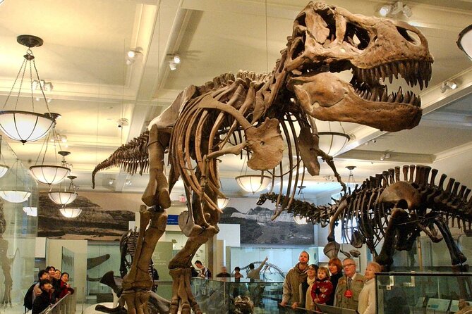 American Museum of Natural History Admission Ticket - Why this museum deserves a half-day