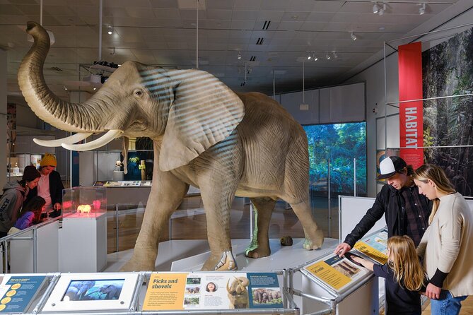 American Museum of Natural History Admission Ticket - Rose Center and the 13-billion-year story