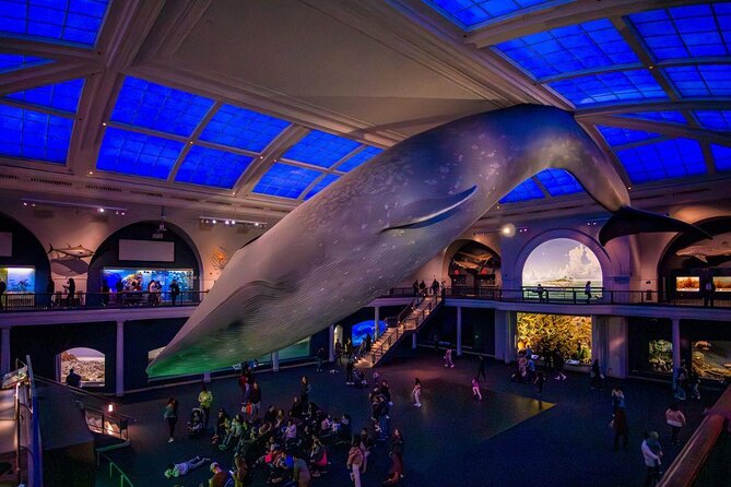 American Museum of Natural History Admission Ticket - Getting into the museum without losing your morning