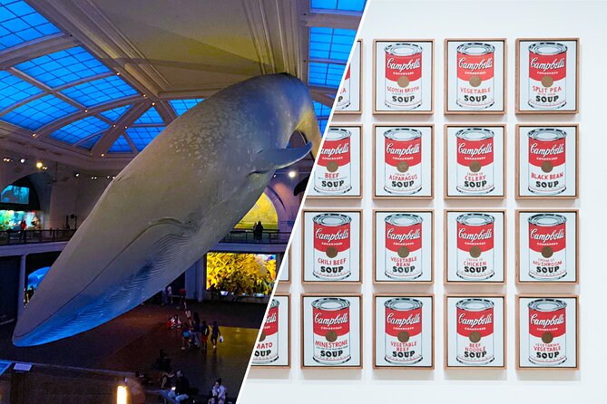 American Museum of Natural History and MOMA Combo Tickets - Is the combo a good value?