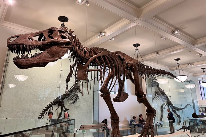 American Museum of Natural History and MOMA Combo Tickets - Who should book this museum combination?