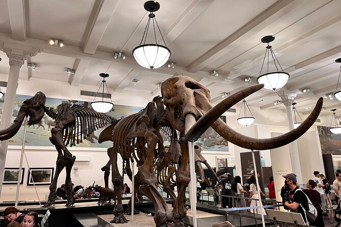 American Museum of Natural History and MOMA Combo Tickets - FAQ