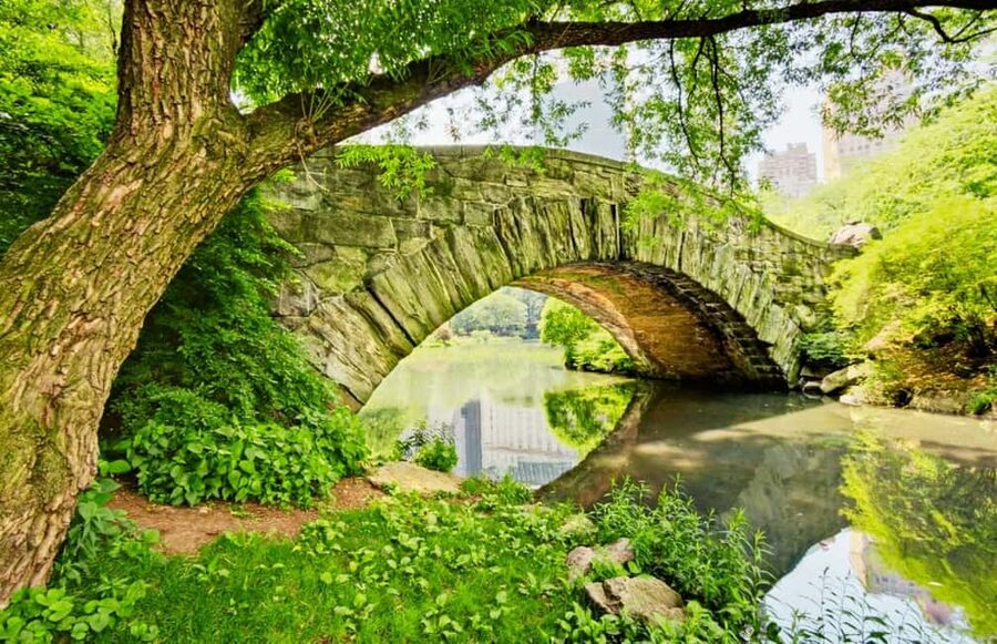 Best of Central Park: Top-Rated Pedicab Tour NYC - Bethesda Terrace, Fountain, and the Lake