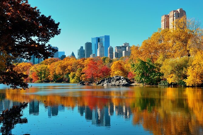 Bike Rental in NYC Central Park - Hills, traffic, and family planning