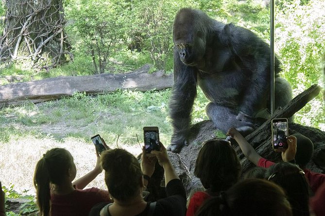 Bronx Zoo Admission Ticket - Butterflies, petting animals, and children’s stops