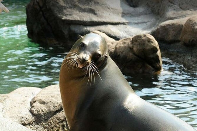 Bronx Zoo Admission Ticket - Food, restrooms, and comfort