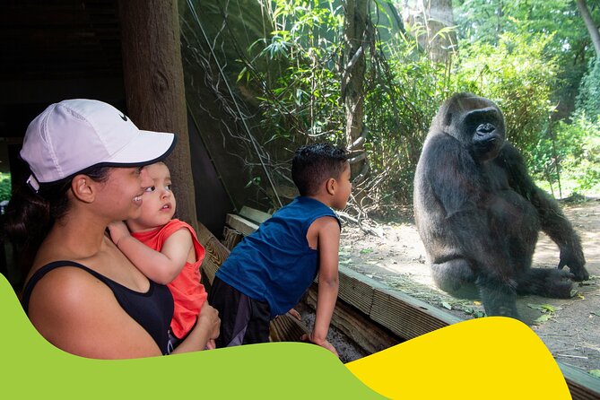 Bronx Zoo Admission Ticket - Getting your bearings across 265 acres