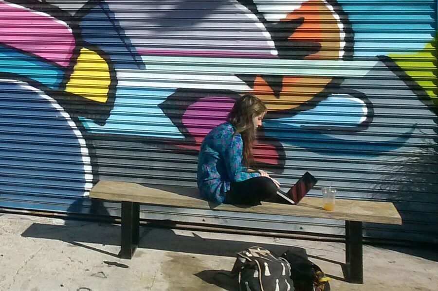 Brooklyn: 2-Hour Best of Brooklyn Walking Tour -Williamsburg - Gentrification without a simple answer