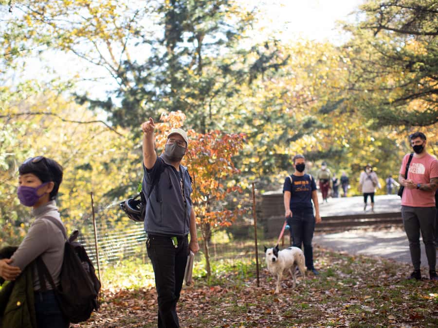Brooklyn: 2-Hour Prospect Park Guided Walking Tour - Starting at Brooklyn Public Library and Grand Army Plaza