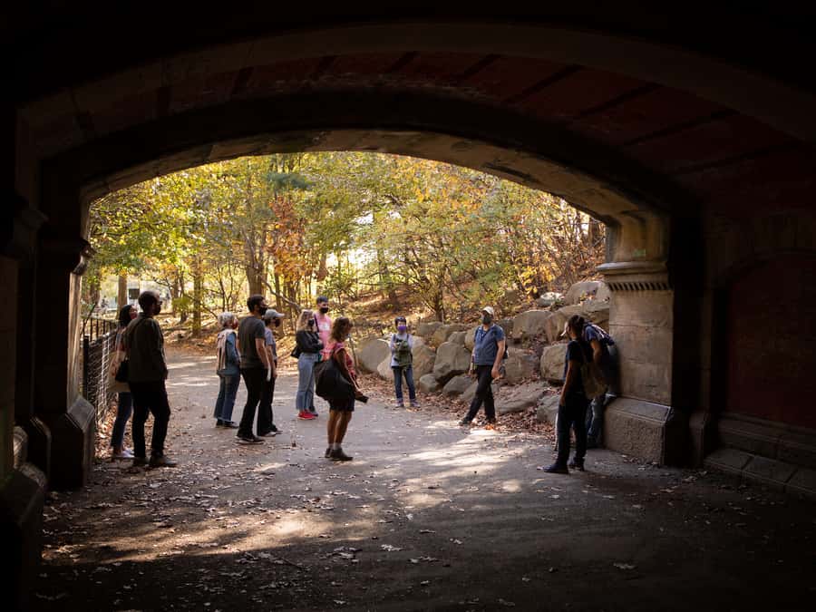 Brooklyn: 2-Hour Prospect Park Guided Walking Tour - The Ravine and the park’s planted wilderness