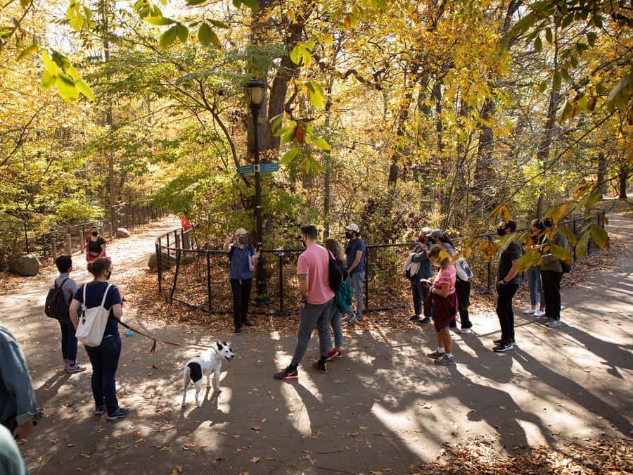 Brooklyn: 2-Hour Prospect Park Guided Walking Tour - Waterfalls, lakes, and streams built for beauty