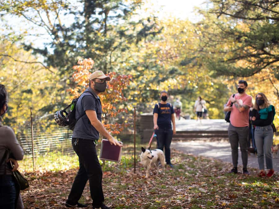 Brooklyn: 2-Hour Prospect Park Guided Walking Tour - Conservation and the park’s next chapter