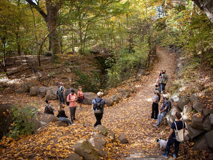 Brooklyn: 2-Hour Prospect Park Guided Walking Tour - Long Meadow, where the park opens wide