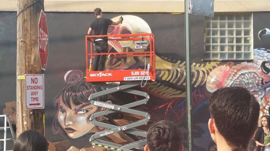 Brooklyn: Bushwick Street Art Walking Tour - Is $20 a fair price?