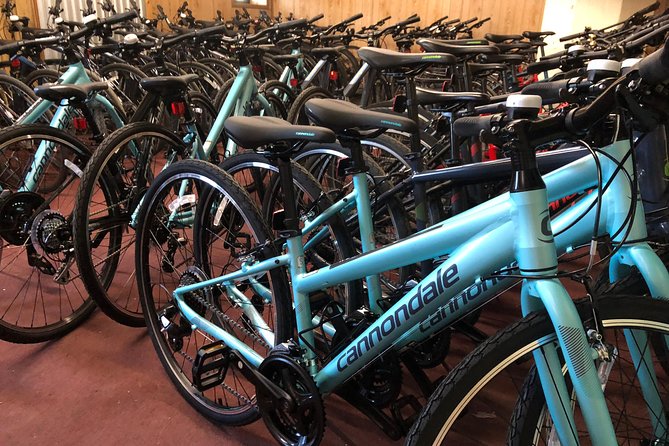 Brooklyn Neighborhoods Small-Group Bike Tour - Is $98 a fair price?