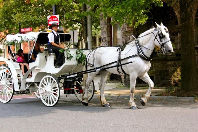 Carriage Ride in Central Park (VIP - PRIVATE) Since 1964™ - Why a private carriage is a pleasant way to see Central Park