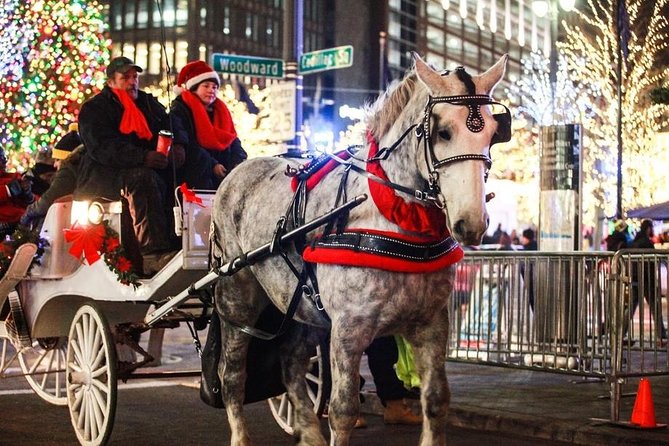 Carriage Ride in Central Park (VIP - PRIVATE) Since 1964™ - Wollman Rink, the Carousel, and the southern park