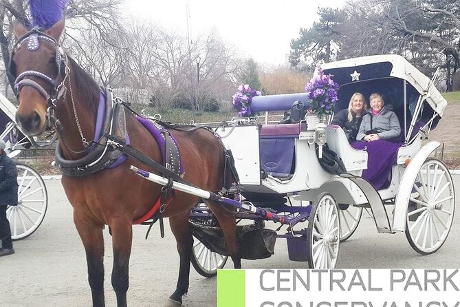 Carriage Ride in Central Park (VIP - PRIVATE) Since 1964™ - Bethesda Fountain and the Lake