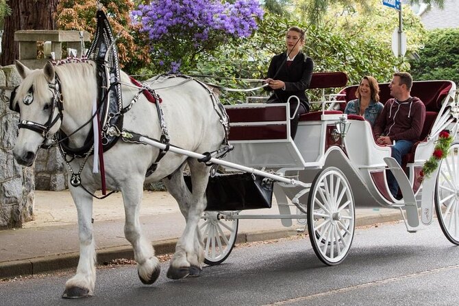 Carriage Ride in Central Park (VIP - PRIVATE) Since 1964™ - What the guide adds to the ride