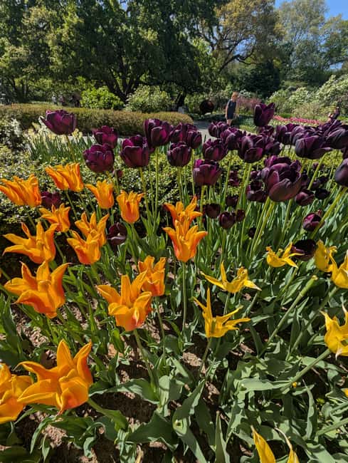 Central Park 5 Star Walking Tour led by Manhattan residents! - The Mall and Literary Walk