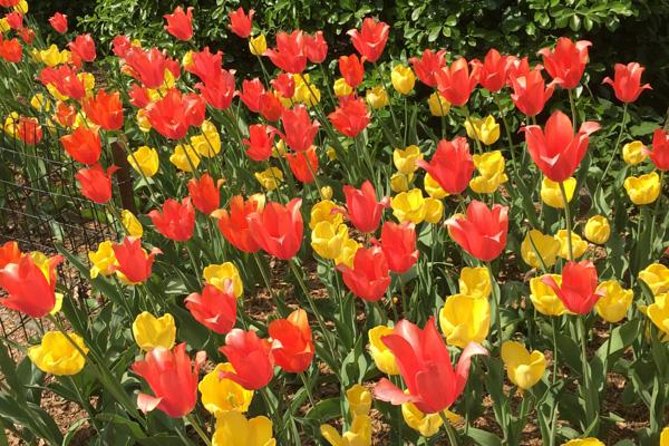 Central Park and Upper East Side Walking Tour - Starting at Pulitzer Fountain and the Plaza Hotel