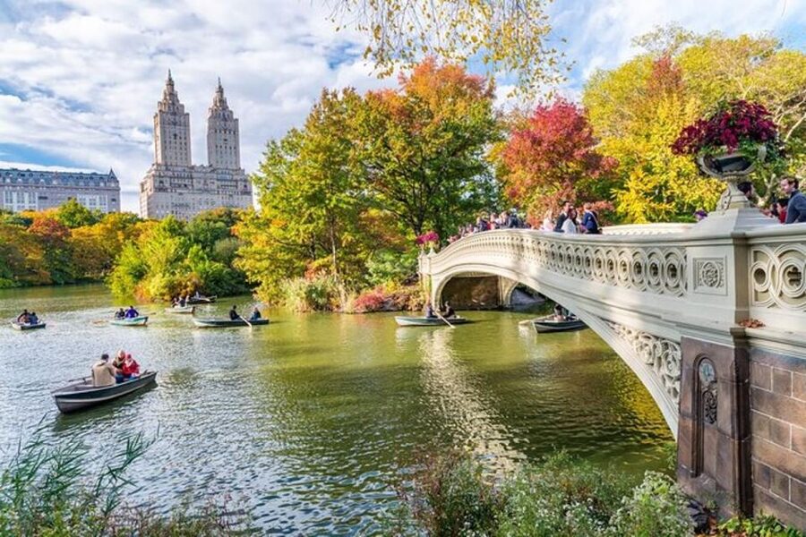 Central Park Bike Rental - The value of the equipment and service