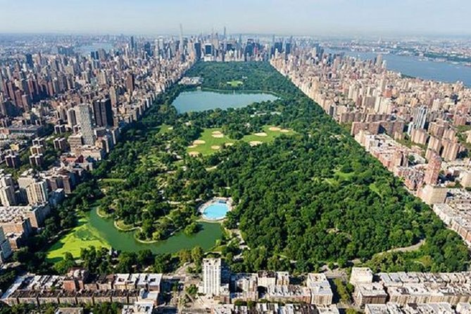 Central Park Bike Rental: Quality Bikes with Map, Helmet, Lock - Choosing between comfort, mountain, and tandem bikes