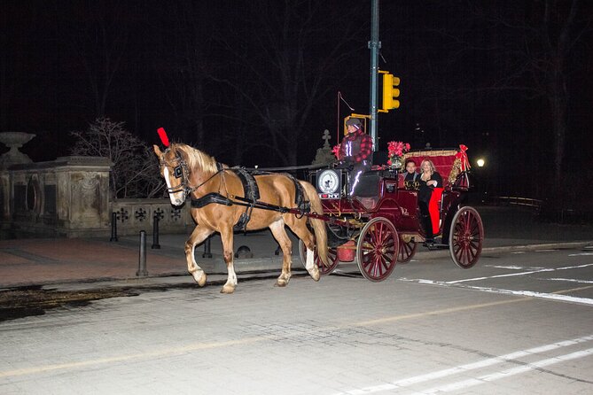 Central Park Carriage Ride w/ Drop Off @ Tavern On Green (45 min) - What the driver adds to the ride