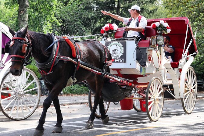Central Park Carriage Ride w/ Drop Off @ Tavern On Green (45 min) - Movie locations, city stories, and familiar sights