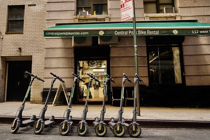 Central Park E-Scooter Rentals - Who will enjoy this outing most