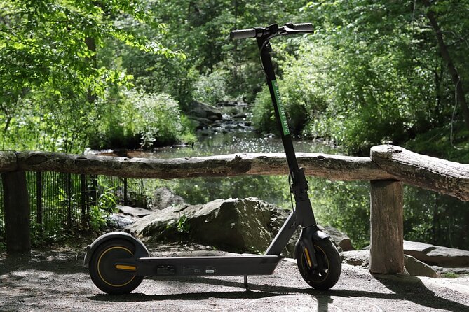 Central Park Electric Scooter Rentals - What you can see from the seat