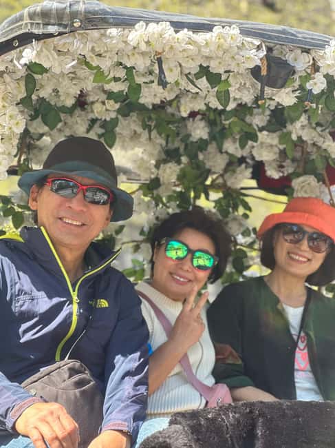 Central Park: Guided 1.5-hour Movie & Celebrity Pedicab Tour - What the guide adds to the experience