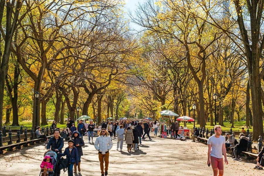 Central Park Guided Bike Tour - Belvedere Castle and time to look around